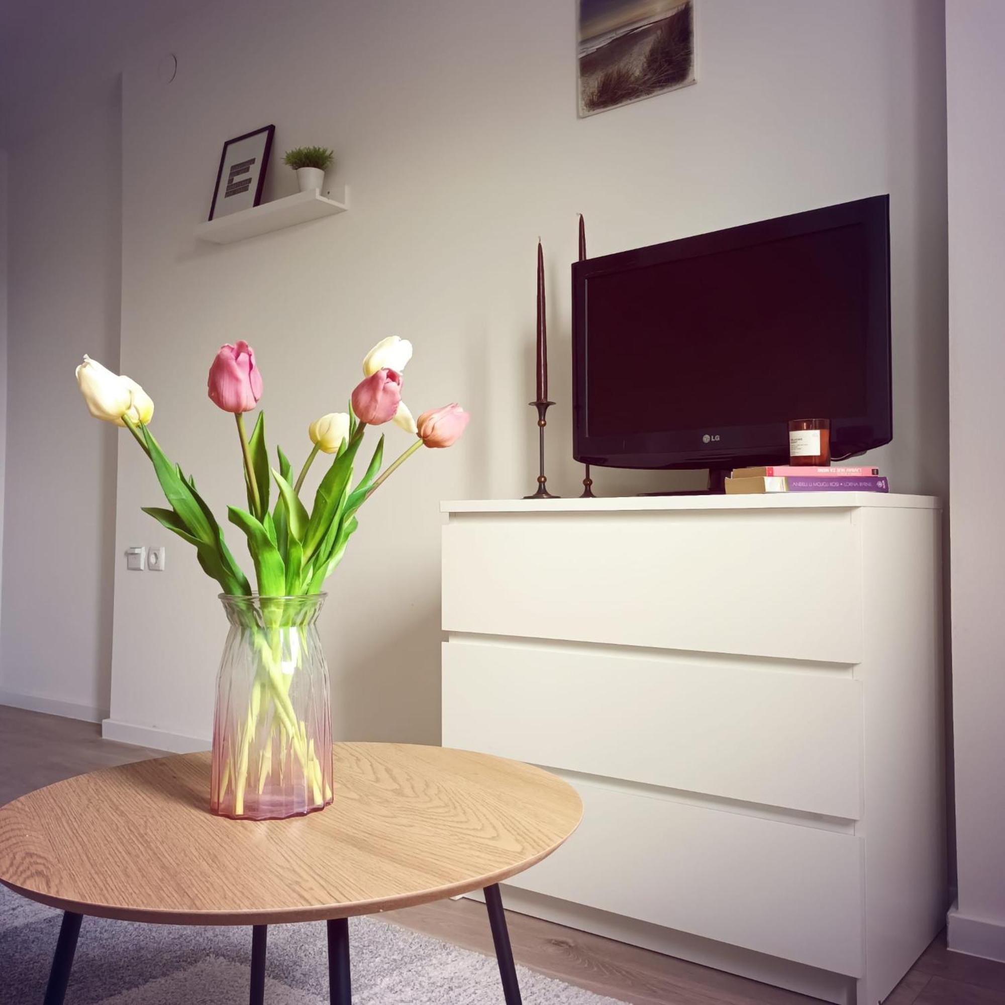 Apartmán Bright And Modern Studio Near City Center Záhřeb Exteriér fotografie